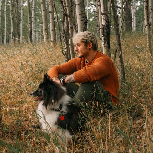 Dog Walking Calgary South