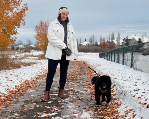 Dog Walking Calgary